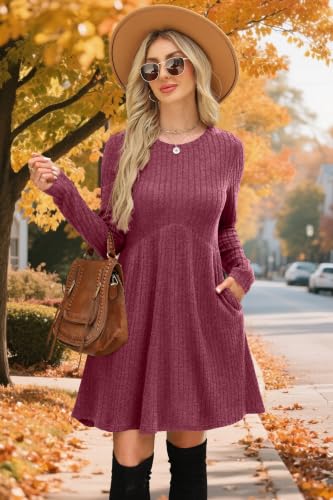 Image of OFEEFAN Long Sleeve Dress for Women Crew Neck Empire Waist Tunic Dress with Pockets