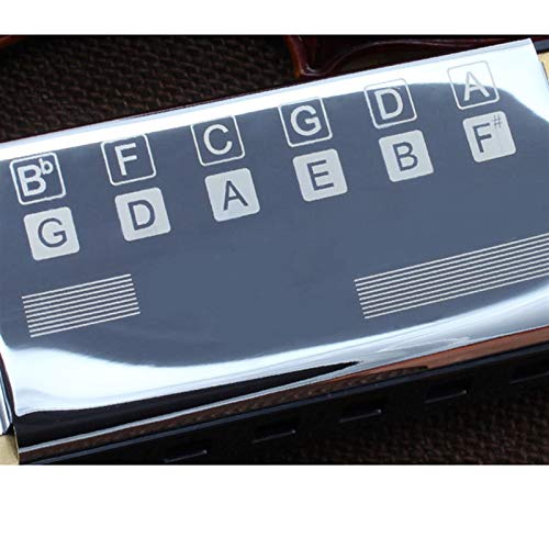 KIRANDIE Basse Harmonica Pocket Ensemble Orchestral Harmonica 12 Trous Harp Bouche d’orgue Instruments de Musique for… - Les Beatles, Paul McCartney, John Lennon, RIngo Starr, George Harrison KIRANDIE Basse Harmonica Pocket Ensemble Orchestral Harmonica 12 Trous Harp Bouche d'orgue Instruments de Musique for… – Image 4