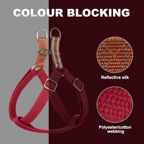 Image of Didog Step in Dog Harnes for Small Dogs, Red, S, Chest 14-22 inch
