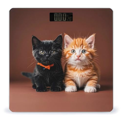 Báscula Digital Cute Kitten Blanco y Naranja 400 lb miniatura 1