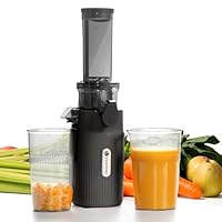 Amazon.co.jp: Ventray Ginnie ジューサー スロージューサー 果汁絞り