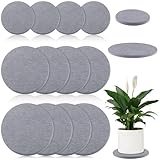12Pcs Diatomaceous Earth Coaster 4/6/8inch Diatomite Plant Saucer Stone Plant Sourcer Instant Dry Water Absorbent Diatomite Tray Water Absorbent Plant Coasters Diatomaceous Earth Mat Absorbent Pad