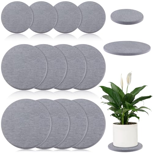 12Pcs Diatomaceous Earth Coaster 4/6/8inch Diatomite Plant Saucer Stone Plant Sourcer Instant Dry Water Absorbent Diatomite Tray Water Absorbent Plant Coasters Diatomaceous Earth Mat Absorbent Pad