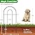 MOOACE Decorative Garden Fence 10 Pack, Total 10ft(L) x 24.5in(H) Rustproof Metal No Dig Fence, Garden Fencing Animal Barrier, Flower Fences and Borders for Dog, Yard, Patio, Outdoor Decor, Black