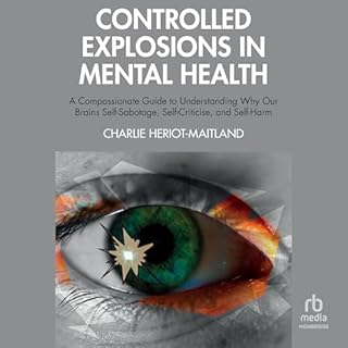 Controlled Explosions in Mental Health cover art