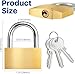 Solid Brass Padlock with Steel Shackle and 3 Keys, 10 Pack, 1.46x1.14 Inch, for Lockers, Sheds, Storage Units, Gym, Fence, Toolbox, Gate, Warehouse