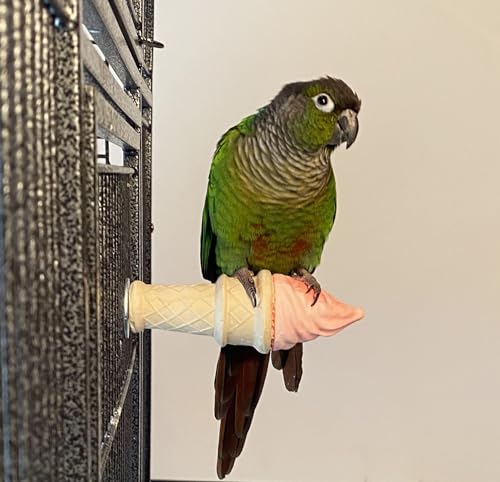 Image of Polly's Ice Cream Perch with Cinnamon for Parakeets, Cockatiels, Amazons, Greys, Macaws, Parrots, and All Other Types of Birds (Small)