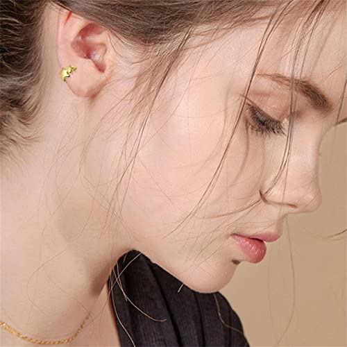 Cute Stars Tiny Small Hoop Earrings 925 Sterling Silver Lucky Star Cartilage Wrap Cuffs Mini Huggie Hoops Sleeper Earring Fashion Jewelry Gifts Hypoallergenic2