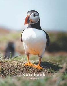 Puffin 8.5" x 11.0" A4 Notebook | Wildlife Photography | 120 Page Lined Notebook: Puffin Photography Notebook: Lined notebook, no margins. (Steven Murphy Photography Products)