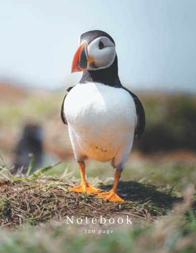 Puffin 8.5" x 11.0" A4 Notebook | Wildlife Photography | 120 Page Lined Notebook: Puffin Photography Notebook: Lined notebook, no margins. (Steven Murphy Photography Products)