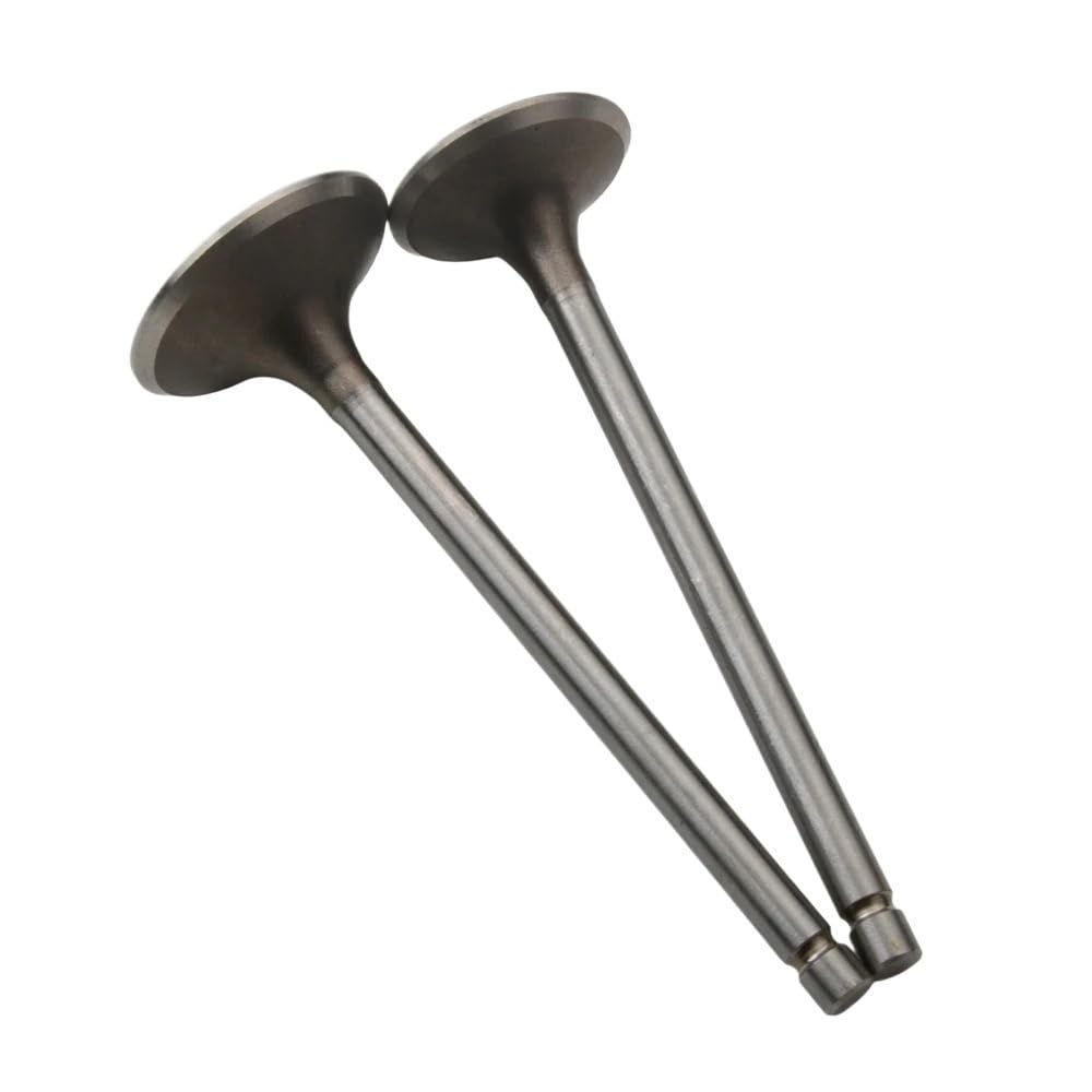 Valvole di aspirazione e scarico 2PC compatibili con GN125 125CC GS125 125CC DR125 125CC GN 125CC GS 125CC DR 125CC motore a 4 tempi