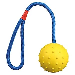 Trixie 3305 Ball am Seil, Naturgummi, ø 6/30 cm, orange/türkis, 1er Pack, Hund, Größen alle Rassen, Apportieren, Tauziehen