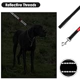 TIESOME Kurze Hundeleine mit gepolstertem Griff, doppeltes Gurtband Nylon reflektierende Haustier Leinen Hundeleine für Walking Training (Schwarz)