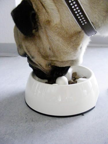 Dogit Hunde Antischling Napf, Hundenapf, 300ml, weiß