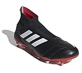  adidas Predator 19+ FG ADV Fußballschuhe Schwarz, 48 2/3 Herren