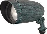 Nuvo Lighting SF76/656 One Light PAR20 120 Volt Die Cast Aluminum Durable Outdoor Landscape Security Lighting Flood, Antique Verdi