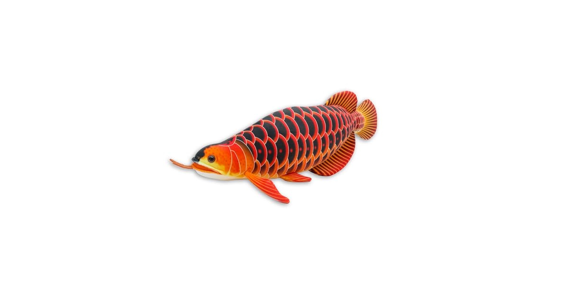Amazon.co.jp: テイクオフ アジアアロワナ リアル可愛い魚