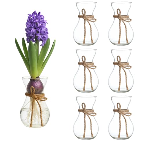 CheeryStow 6Pcs Small Glass Hyacinth Vases Set - Clear Mini