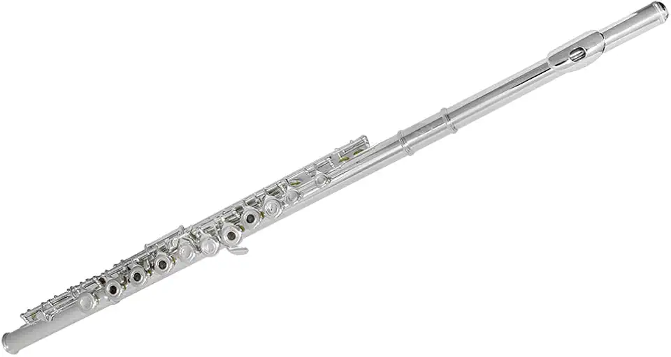Flauta Transversal FL 210ES Prateada com Case New York