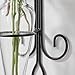Danya B. Home Accent Wall Mount Fleur de Lis Flower Vase Sconce Made from Iron and Clear Glass, it Can be Displayed on The Wall Indoors or Perfect for The Patio