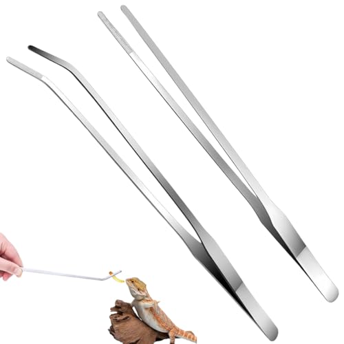 GNALIA Pince Aquarium : 1 Droite + 1 Courbée En Acier Inoxydable 25Cm. Pour Plantes Aquatiques Et Reptiles. Couleur : Argent. Embouts Sécurisés Et Poignée...