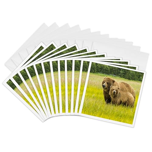 Cartes de vœux ours grizzly 3dRose pour exprimer votre tendresse familiale
