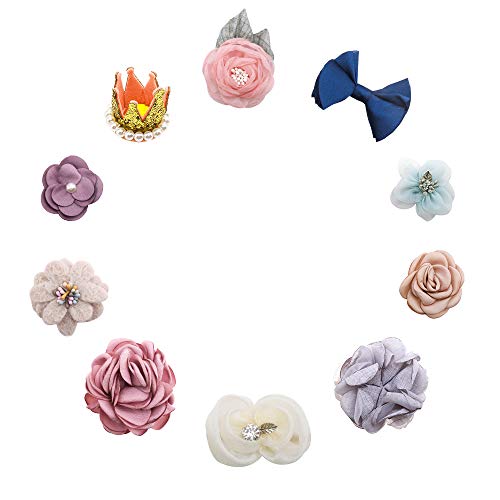 Baby Hair Clips Flower Girls Hair Bows Toddler Hair Accessories Pack of 10 (Color R)