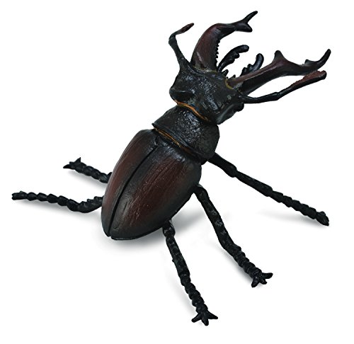 CollectA Insects Stag Beetle Toy Figure - Authentic Hand Painted Model
