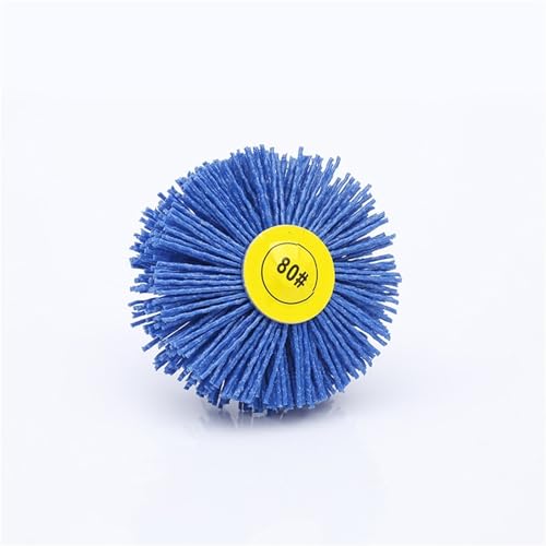 ZISEcoc 1 T^ؐƋhoOC_[C[t[wbhiCzC[uV