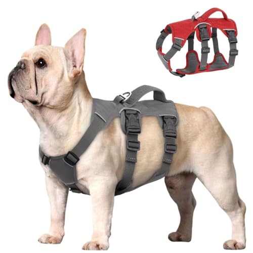 Beirui Ausbruchsicheres Hundegeschirr für kleine, mittelgroße Hunde, reflektierendes Hundegeschirr, kein Ziehen, mit gepolstertem Griff, Training (grau, Brustumfang 30.5–50.8 cm)