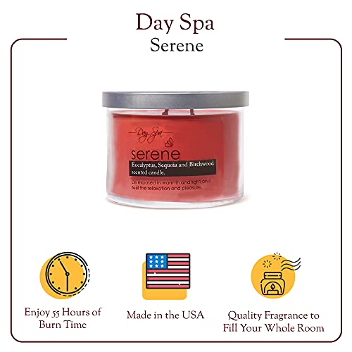 A Cheerful Giver Day Spa Serene Scented Candle - 11-Ounce Soy Candle With 55 Hours Burn Time - Birthday Gift For Women #TOP2