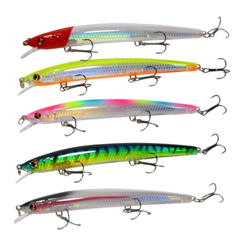 SEWACC 5 ?st[eBOtBbVOA[ J[Lx F ԏ w ԗ ԓ ϋvfލ̗p 틛Ή̌ʓI