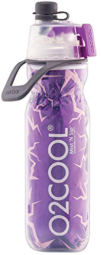 O2COOL Classic Insulated Elite Water Bottle, Purple