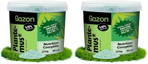 Engrais gazon automne pour sublimer le jardin familial et résister au gel hivernal