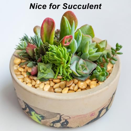 Image of Fish Tank Rocks,Virekm River Rocks, Decorative Ornamental Pebbles Garden Landscaping Stones Gravel Filler for Home Decoration Flower Bed Fish Tank Plants Vases Succulents