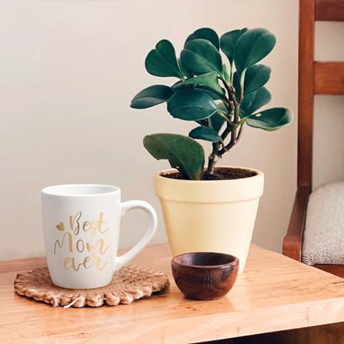 Cabtnca Best Mom Ever 12Oz Mug