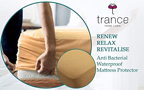 Image of Trance Cotton Feel Terry 80 x 60 inch Ultra Soft Waterproof Mattress Protector | Breathable - Hypoallergenic Fitted Style Mattresses Cover (80x60 inch | 6.66x5 feet, Brown - Pack of 1)