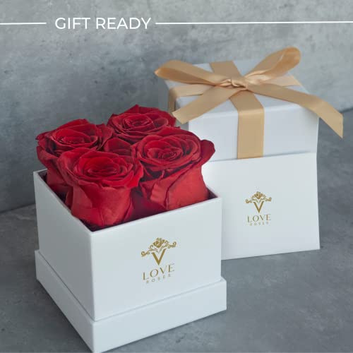 Vlove® Forever Preserved Roses In A Box | Real, Long Lasting Roses That Last Over A Year | Handcrafted Eternal Preserved Flowers | Perfect Valentines Day Gifts For Her | White Box With 4 Red Roses #TOP3