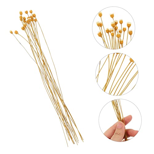 20 Palitos Difusores Naturales para Aceite Esencial miniatura 7