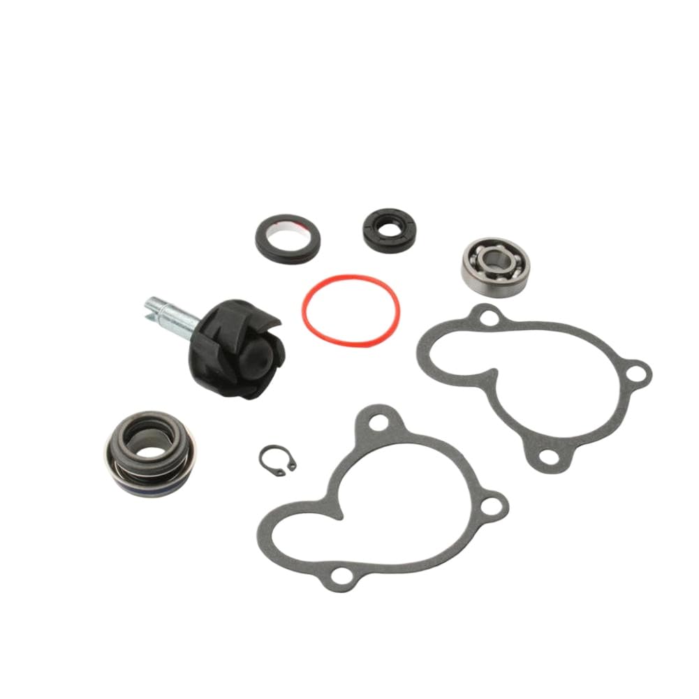 Kit Riparazione Pompa Acqua Compatibile Con Velvet 250 300 Kilibre 300 Password Skyliner 250cc 4T