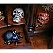 Fun-World Hidden Screamer ASST12