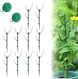 Processo di installazione senza sforzo: i telai leggeri scivolano senza problemi nel terreno per un uso immediato, rendendo semplice per qualsiasi giardiniere installare il sistema di pali di supporto impilabili senza strumenti complessi o sforzi extra.