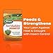 Scotts Turf Builder SummerGuard Lawn Food with Insect Control, 5,000 sq. ft.