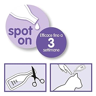 Beaphar No Stress Spot On Gatto, Calmante Gatto, 3 Pipette, Azione Calmante e Rilassante, Agisce in 1 Ora, per Un Ambiente Calmo e Senza Stress