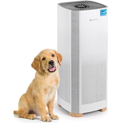 Air Purifiers for Home, Large Room Covers 1500 Ft², H13 Medical Grade True HEPA Air Filter, Ideal for Allergies, Cat, Dog, Pet, Hair, Pollen, Smoke, Dust, Bedroom Air Filter, WiFi, InvisiClean Bella