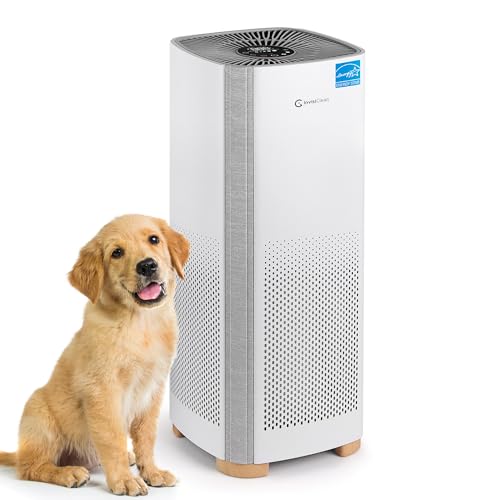 InvisiClean Bella HEPA Air Purifier for Large Rooms