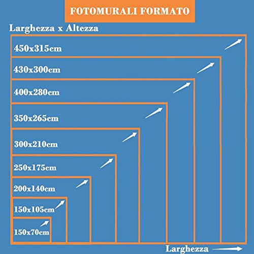 Fotomurali 3D Piuma Bianca Geometrica Bianca Nera