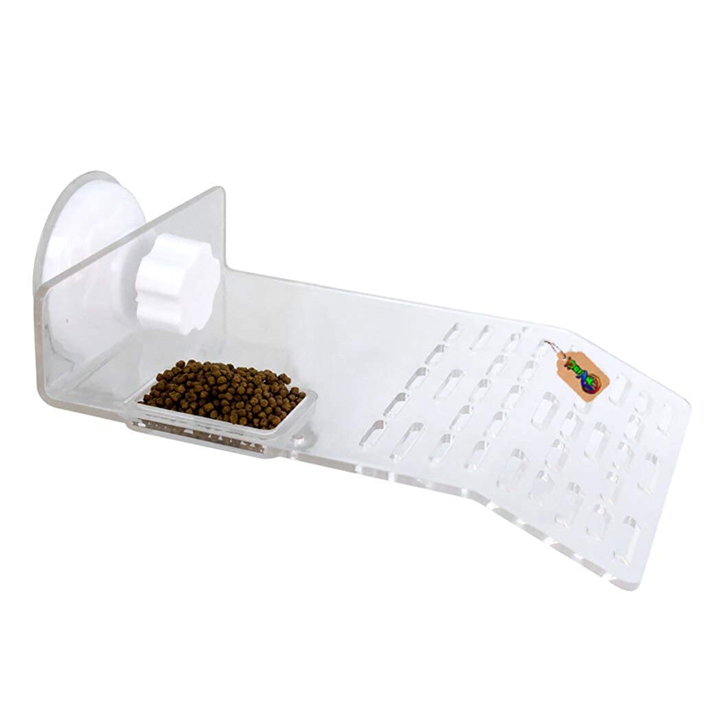 See full amazon price history chart for DreamAuro Platform Basking with Food Bowl & Suction Cup for Turtle/Reptile/Aquarium/Small Amphibians (Small Size) DreamAuro Platform Basking with Food Bowl & Suction Cup for Turtle/Reptile/Aquarium/Small Amphibians (Small Size) (B085258C43) Amazon Price History, Amazon Price Tracker