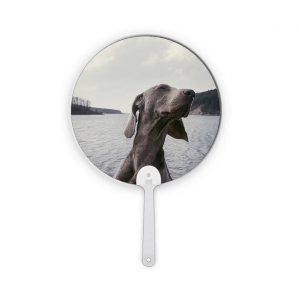 Chien Animal Gris image ronde éventail en plastique gris décoratif