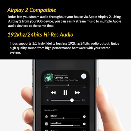 Image of Indus Airplay 2 Multi Room Streaming Amplifier 100Wx2 with subwoofer Out